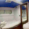 Twin Cabin - Springland