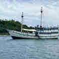 Sehat Elona