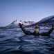 Snorkeling with Orcas