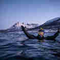 Snorkelling - Bergsund