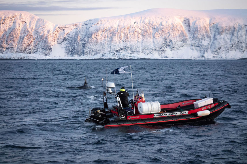 Gommone - Bergsund