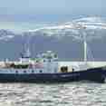 Bergsund