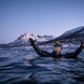 Snorkeling with Orcas