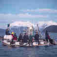 Tenders for diving - Sjoveien