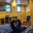 Double Cabin - Sjoveien