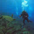海洋生物 - Galaxy Diver II