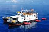 Navis 1