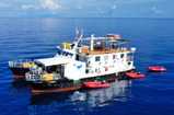 Navis 1