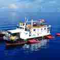 Navis 1