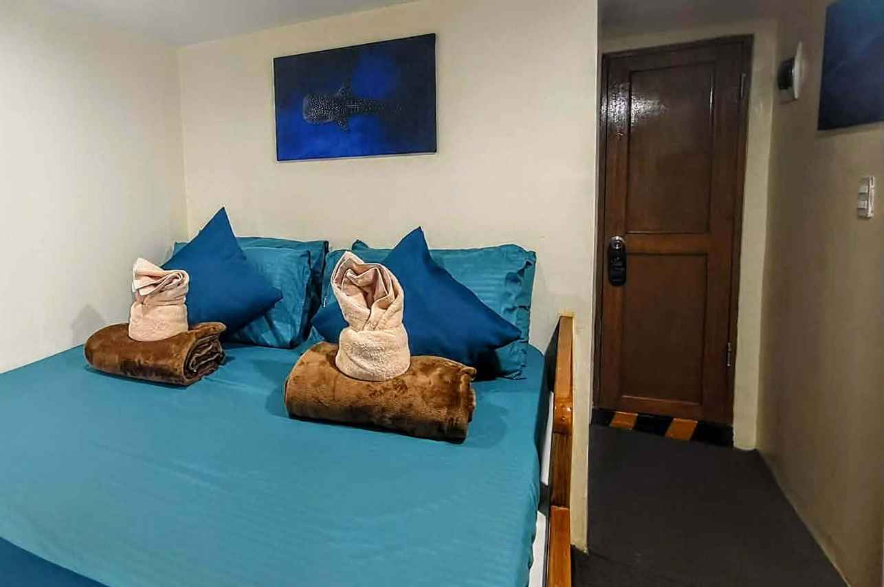 Cabina doble  - Navis 1