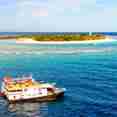 Navis 1