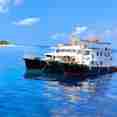 Navis 1