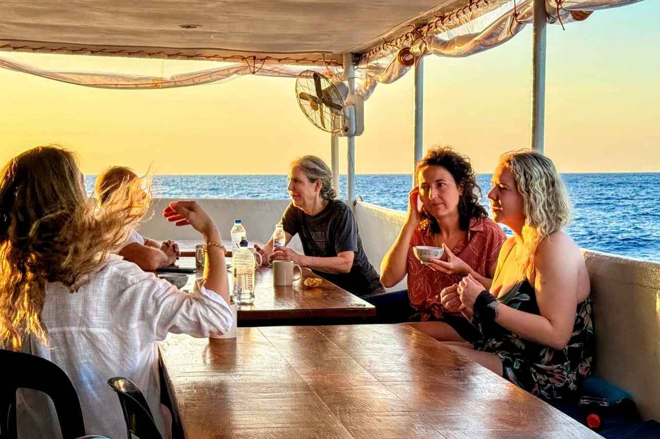 Comedor al Aire Libre - Navis 1
