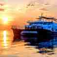 Navis 1