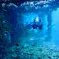 Diving Underwater