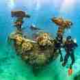 Diving Underwater
