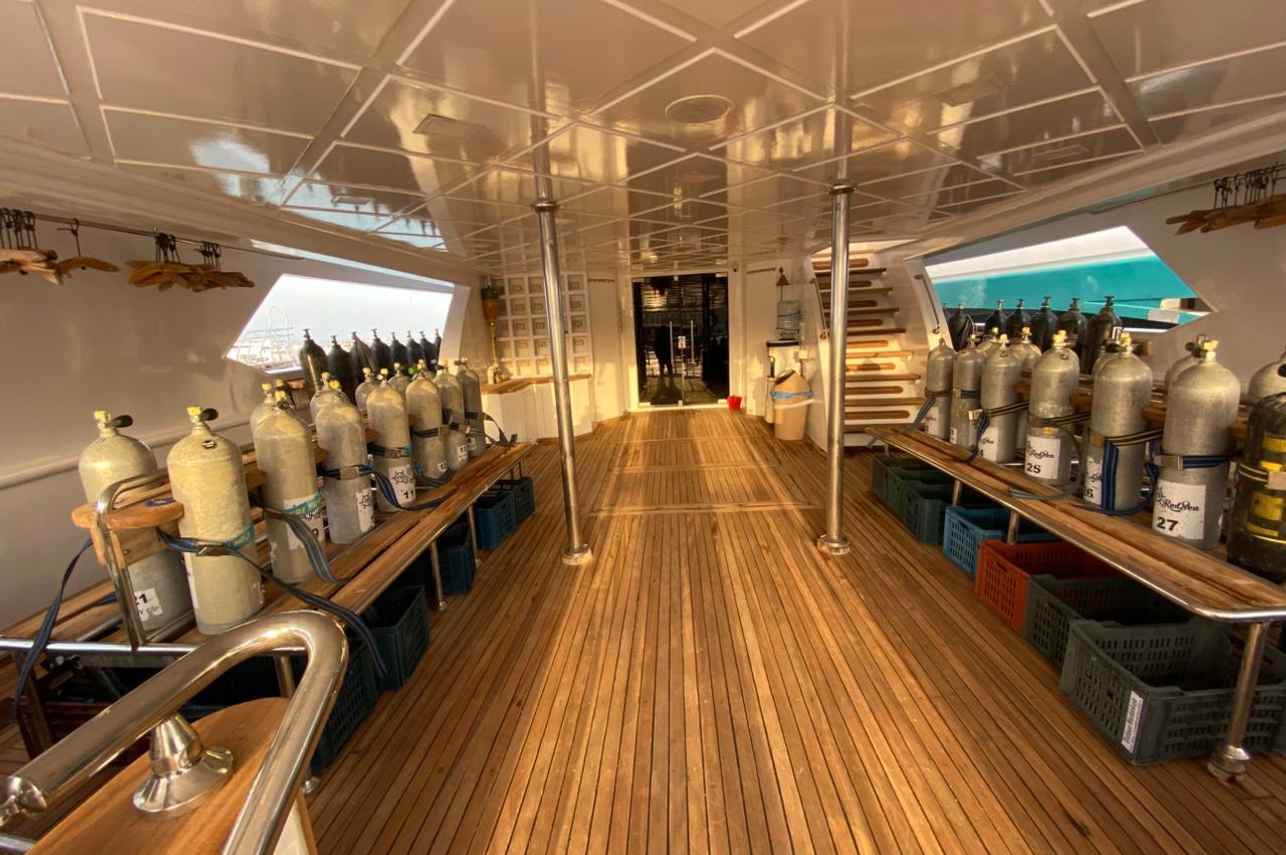 ダイビングデッキ - CU