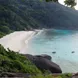 海洋生物 - Lucky Marine Liveaboard