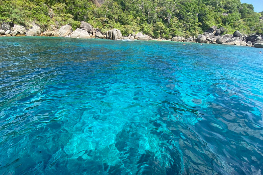 Подводный мир - Lucky Marine Liveaboard