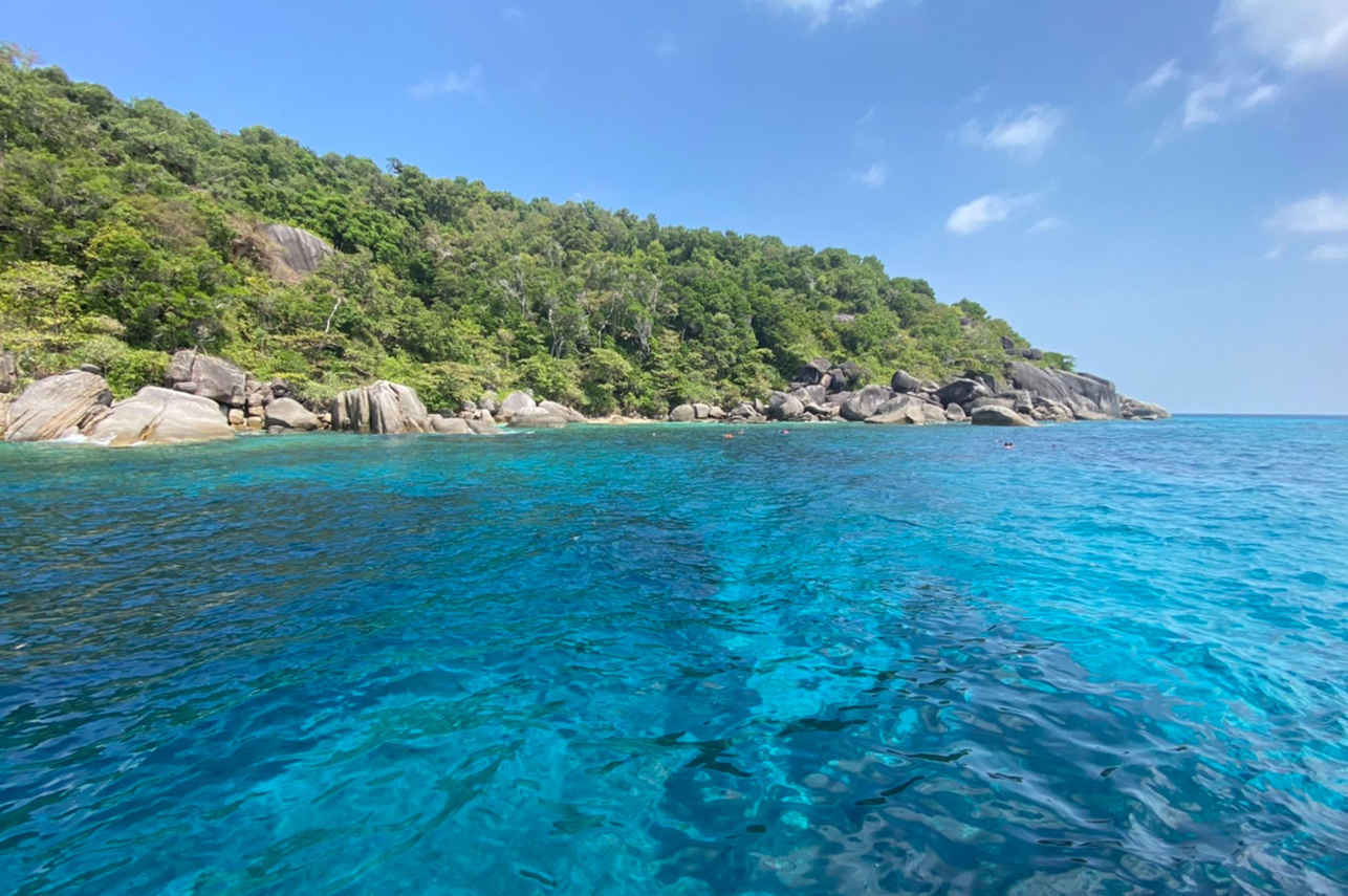 Onderwaterleven - Lucky Marine Liveaboard