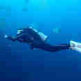 Diving