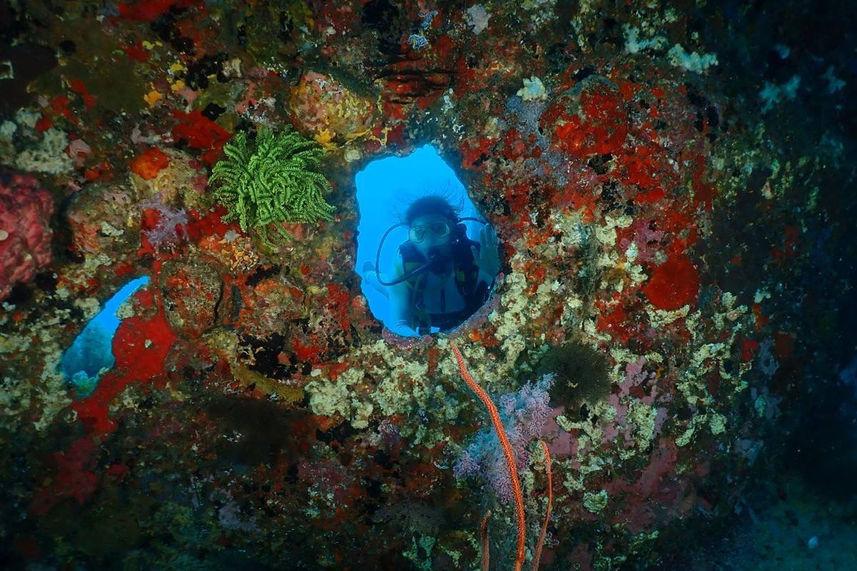 Подводный мир - Lucky Marine Liveaboard