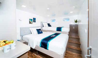 Family Cabins