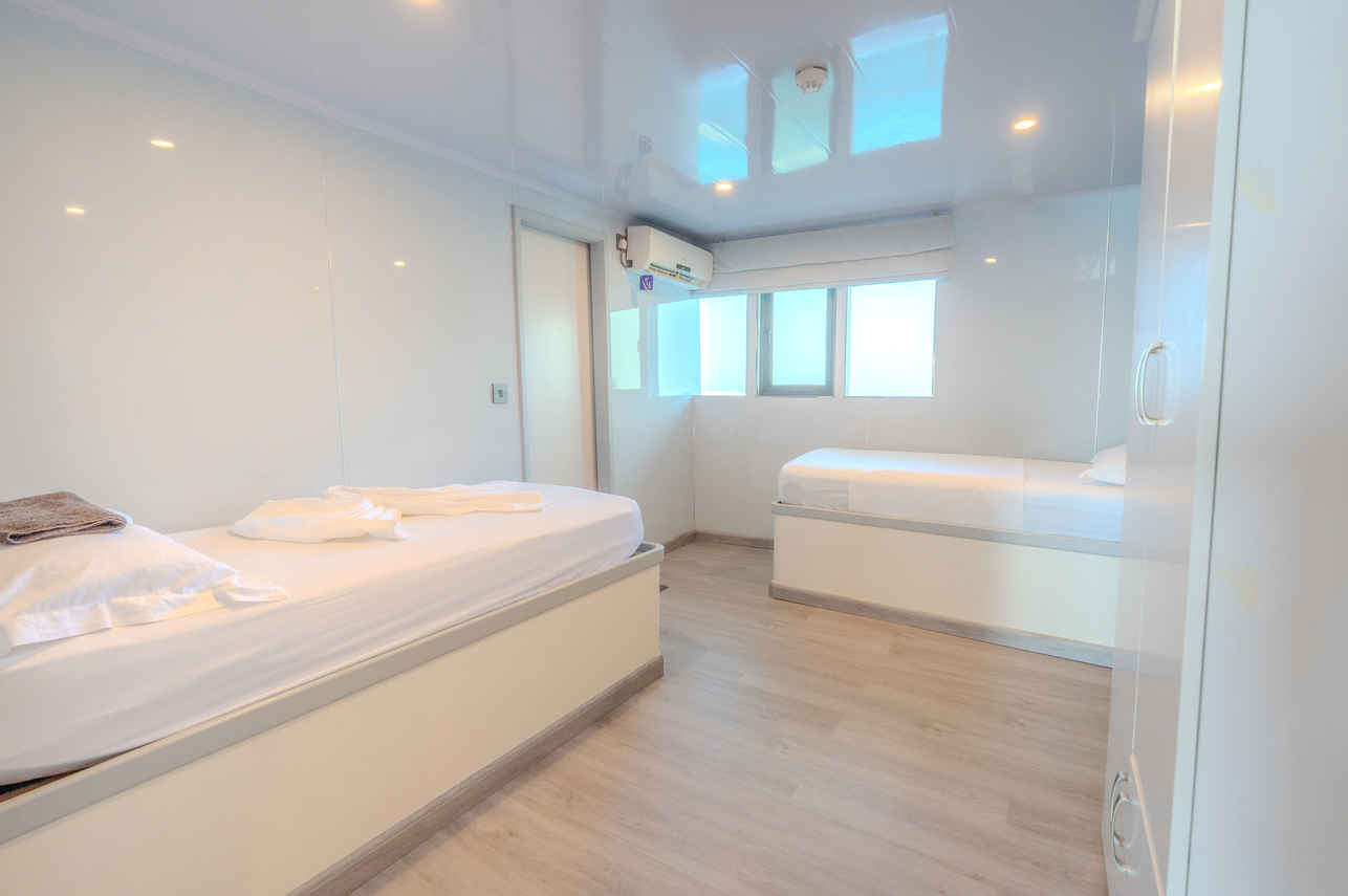 Cabina estandar  - Ocean One