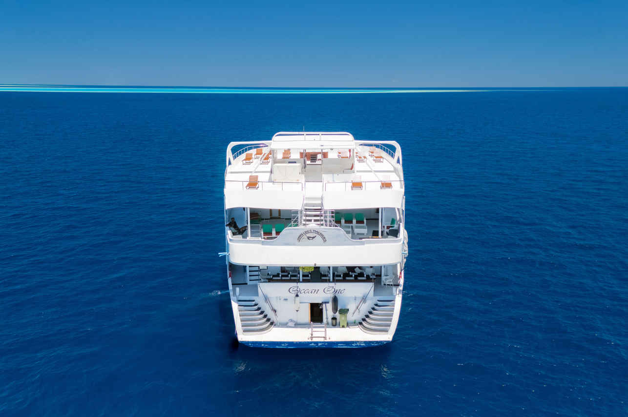 Ocean One