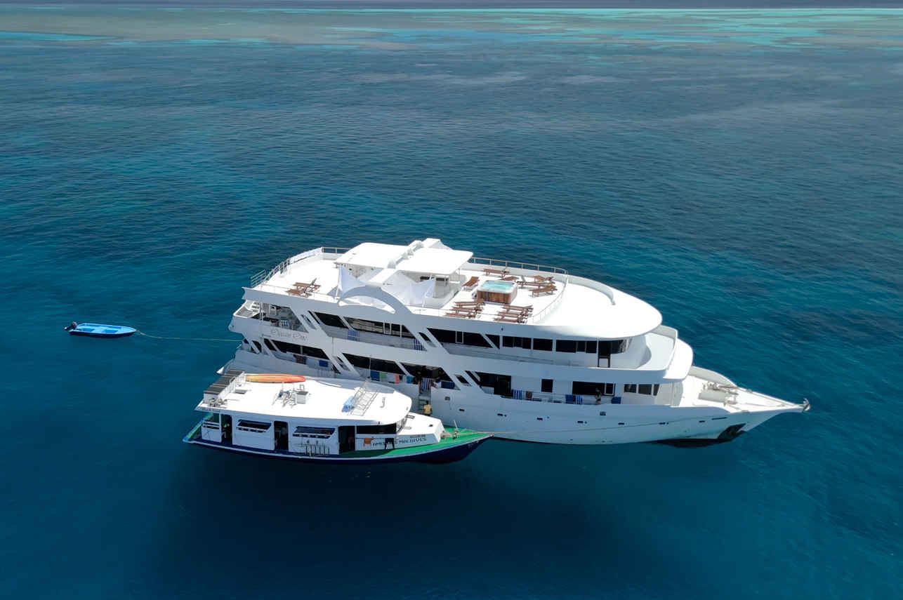 Ocean One