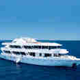 Ocean One