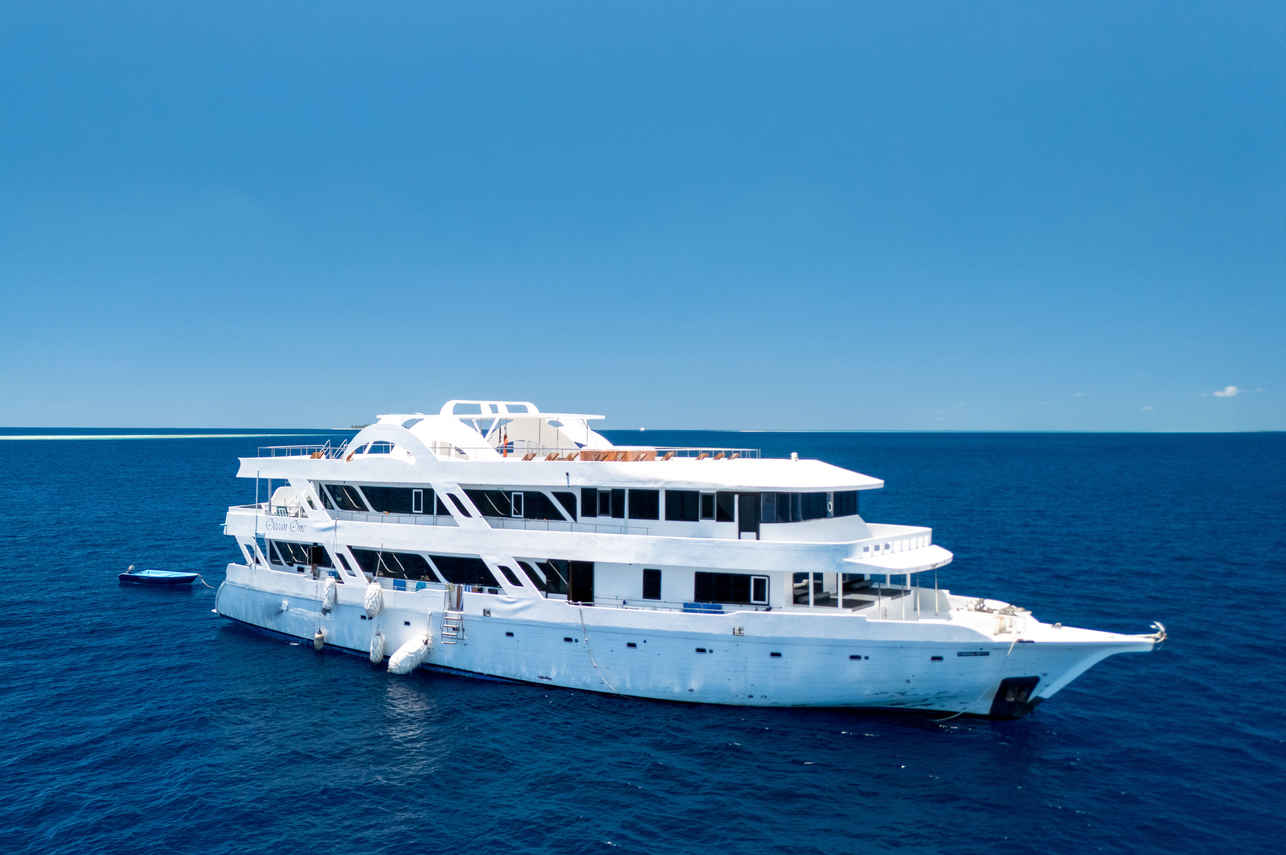 Ocean One