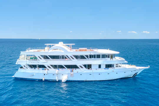 Ocean One