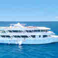 Ocean One