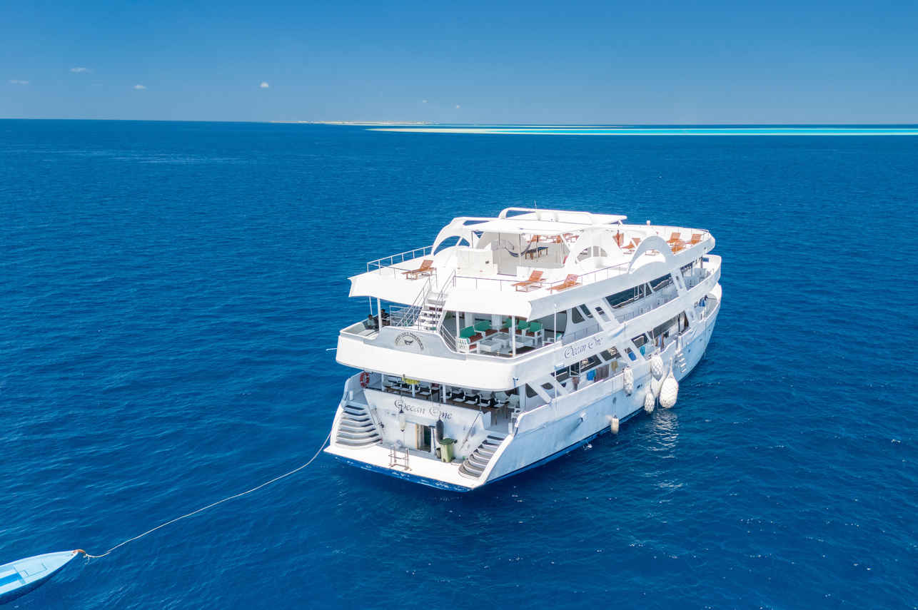 Ocean One