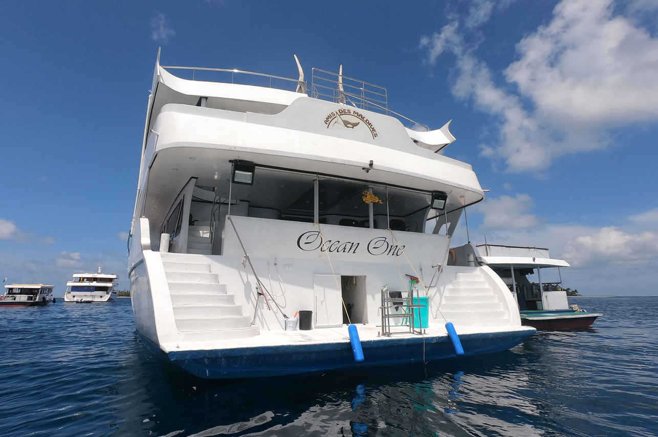 Plataforma  - Ocean One