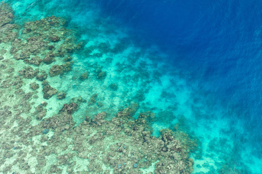 Coral Reefs