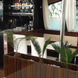 Bar and Lounge Area - Katarina Line Premium Superior