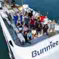 Bunmee 4