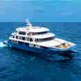 Cormorant II