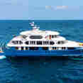 Cormorant II