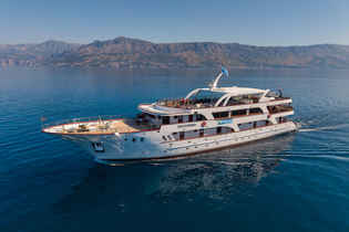 Idriva Deluxe