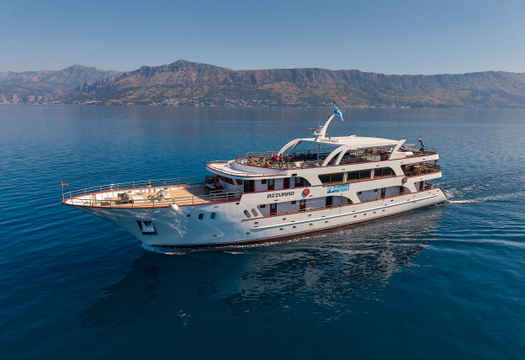 Idriva Deluxe