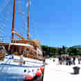 Albatros - Idriva Premium