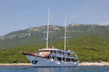 Idriva Premium