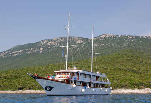 Idriva Premium