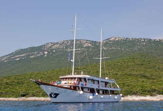 Idriva Premium