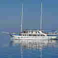 Aria - Idriva Premium