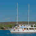 Morena - Idriva Premium