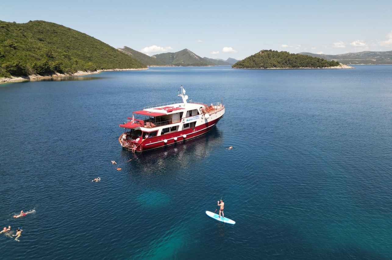 Vilma - Idriva Premium